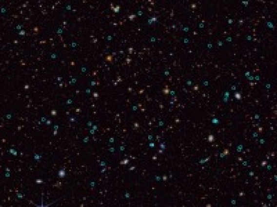 a field of galaxies and bright supernovas are circled in green